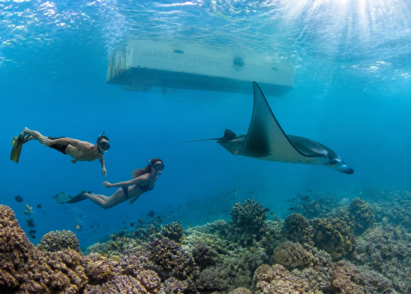 Marine Discovery Centre excursions