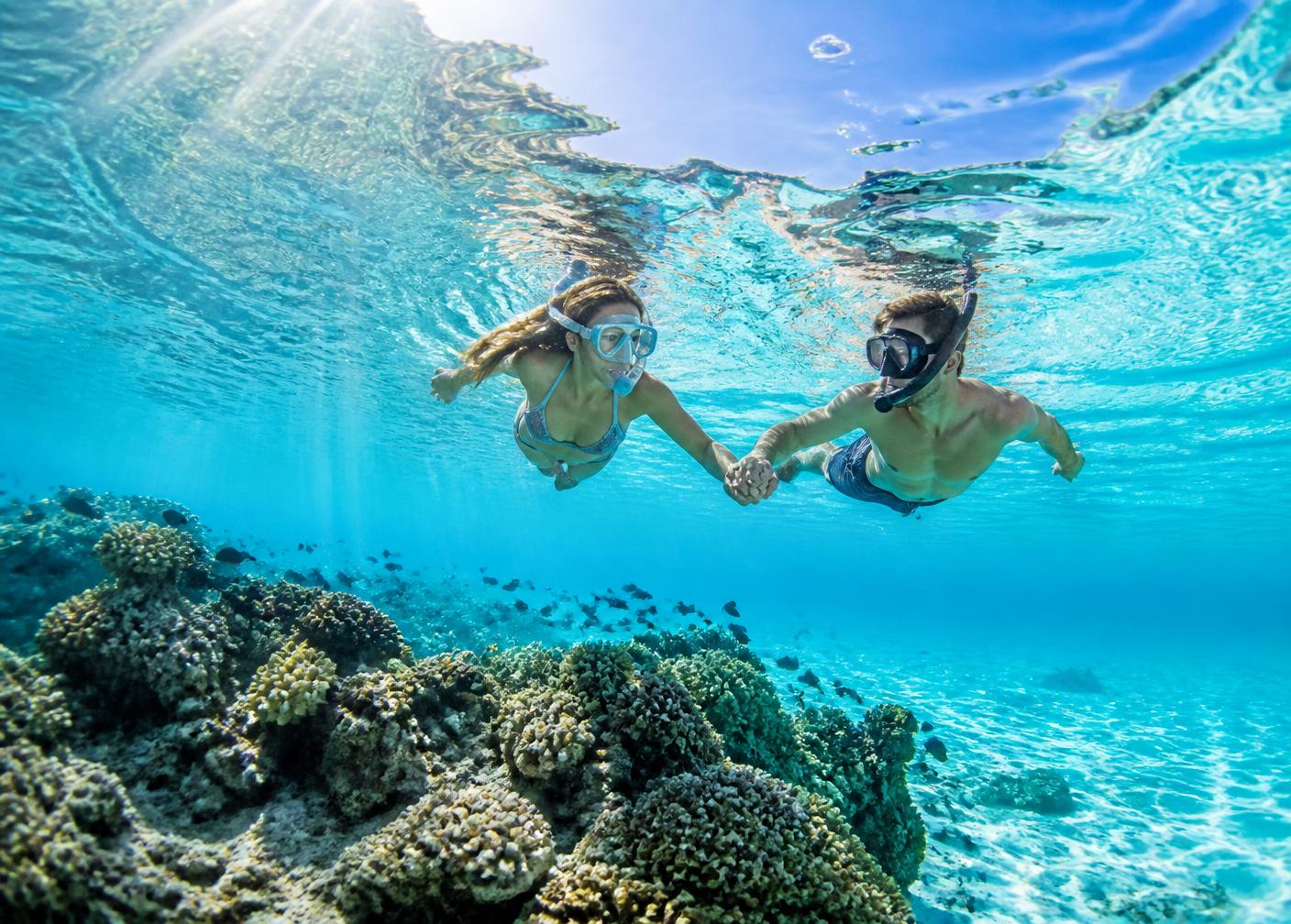 Snorkelling safari